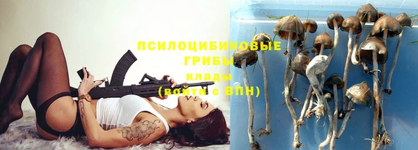 mdpv Новозыбков