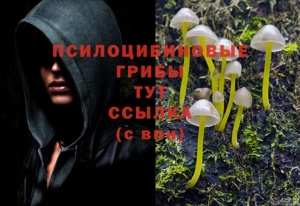 гидропоника Абинск